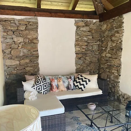 La Dei Gatti Bed & Breakfast Donato